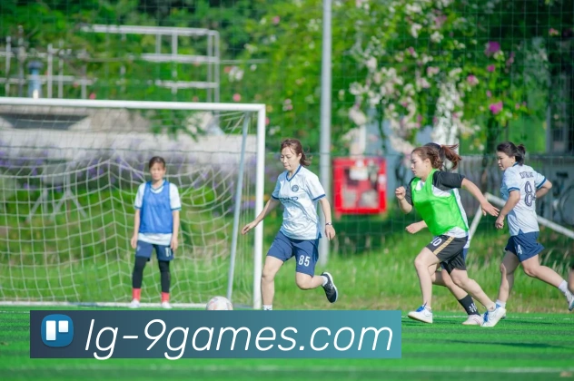 多媒体互动体验